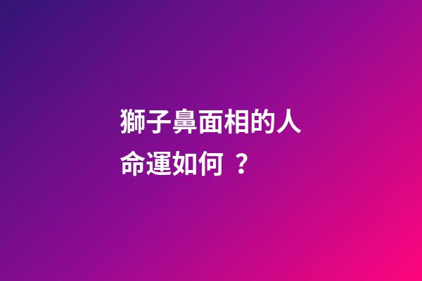 獅子鼻面相的人命運如何？